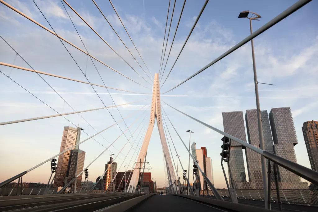De tuien van de Erasmusbrug in Rotterdam, gezien vanaf het wegdek